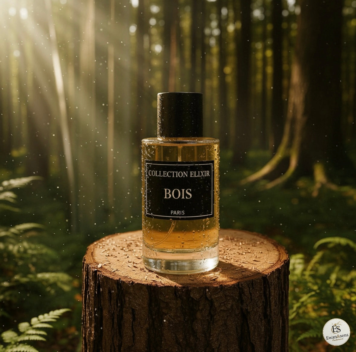 Collection Élixir BOIS - Masculin